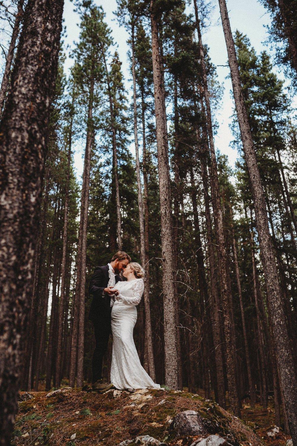 carousel-hero-element image-12